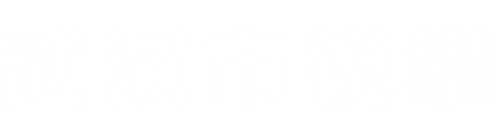 武汉市锐攀